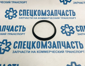 Кольцо уплотнительное вакуумного насоса на Форд Транзит - 046221P
