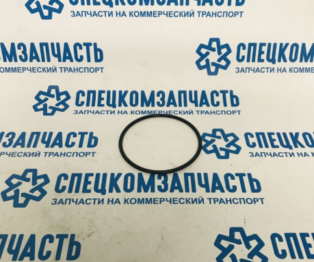 Прокладка (кольцо) ТНВД - 2.7D на Sollers-Atlant - 1002023FE010