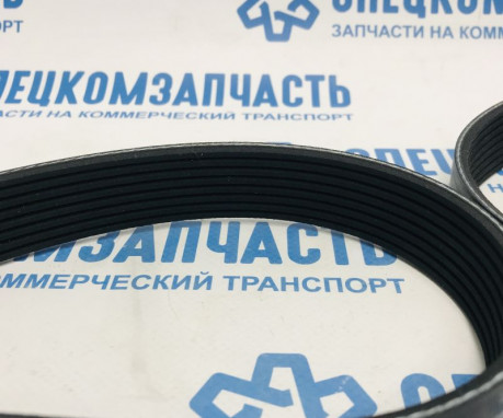Ремень генератора приводной 2,0 на Sollers Argo - 1025018FD020