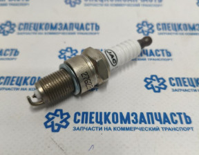 Свеча зажигания 2.0G на Соллерс Арго - 1026106GAAXZ
