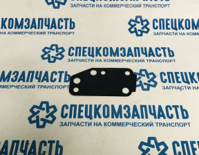 Прокладка помпы (насоса водяного) 2.4 на Форд Транзит - 1096559