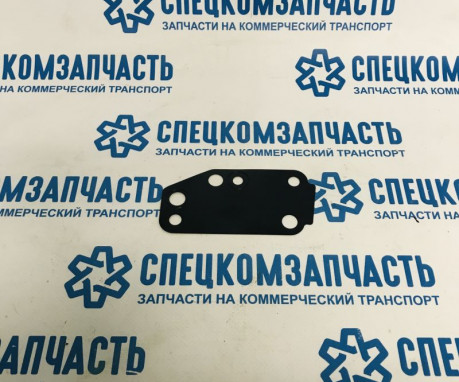 Прокладка помпы (насоса водяного) 2.4 на Форд Транзит - 1096559