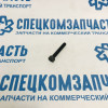 Болт натяжителя цепи ГРМ (нижней) на Хендай Портер 2 - 1131306403