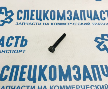 Болт натяжителя цепи ГРМ (нижней) на Хендай Портер 2 - 1131306403