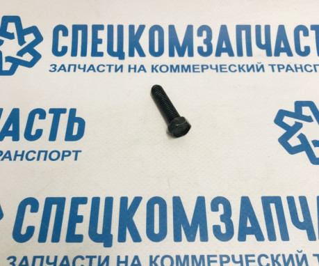 Болт успокоителя цепи ГРМ (средней) на Хендай Портер 2 - 1131308323
