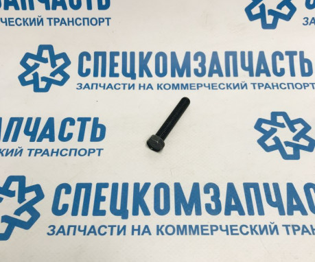 Болт натяжителя цепи ГРМ (средней) на Хендай Портер 2 - 1131308483
