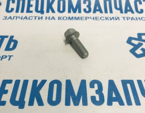 Болт ролика ГРМ на Хендай Портер 1 - 1140308256P