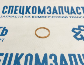 Прокладка сливной пробки поддона двигателя (22x28x1,5) на Фиат Дукато - 128503