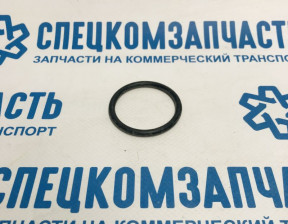 Кольцо корпуса термостата на Пежо Боксер - 134091