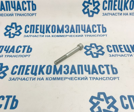 Болт натяжителя ремня генератора на Фиат Дукато - 16691424
