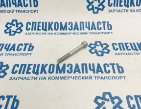 Болт натяжителя ремня генератора на Фиат Дукато - 16691424