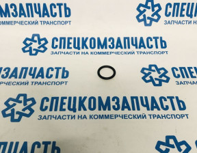 Прокладка (кольцо) трубки охлождения на Фиат Дукато - 17288480