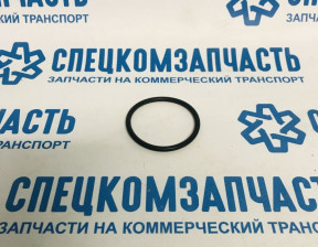 Прокладка помпы (кольцо) малое на Фиат Дукато - 17289680