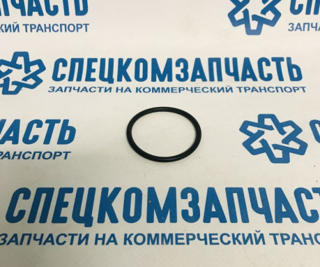 Прокладка помпы (кольцо) малое на Фиат Дукато - 17289680
