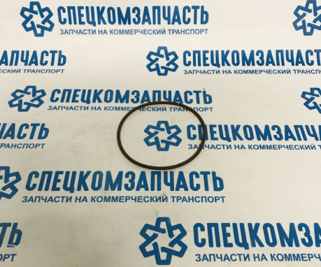 Прокладка помпы (кольцо) большое на Фиат Дукато - 17291281