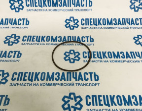 Прокладка помпы (кольцо) большое на Фиат Дукато - 17291281