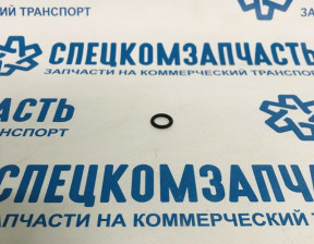 Кольцо уплотнительное (малое) регулятора давления топлива (на ТНВД) на Фиат Дукато - 1928300718