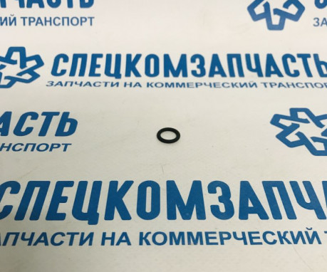 Кольцо уплотнительное (малое) регулятора давления топлива (на ТНВД) на Фиат Дукато - 1928300718