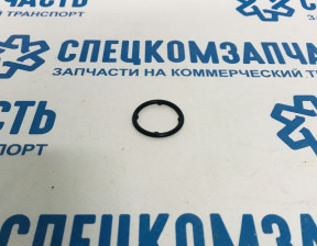 Кольцо уплотнительное насоса масляного на Хендай Портер 2 - 214264A700