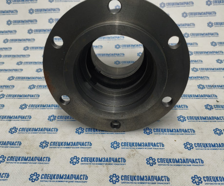 Ступица колеса задняя (двухскатные колеса) на Sollers-Atlant - 2202020070