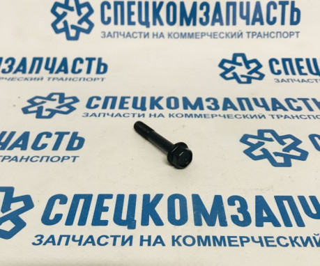 Болт крепления пастели (крышки) распредвала на Хендай Портер 1 - 2212142000