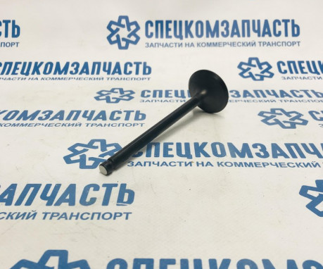 Клапан впускной D4AL/DB/DD на Hyundai HD - 2221141001