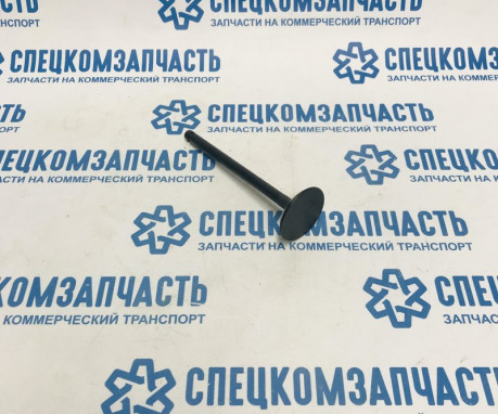 Клапан впускной D4AL/DB/DD на Hyundai HD - 2221141001