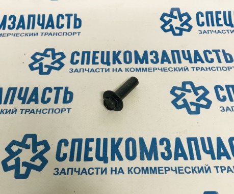 Болт крепления крышки клапанов(полый) (обновленная крышка) на Хендай Портер 1 - 2241442910
