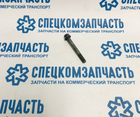 Болт ролика ГРМ на Хендай Портер 1 - 2431642000