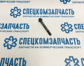 Болт ролика ГРМ на Хендай Портер 1 - 2431642000
