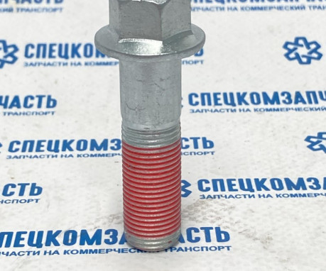 Болт крепления скобы суппорта переднего на Sollers-Atlant - 3001031R0284