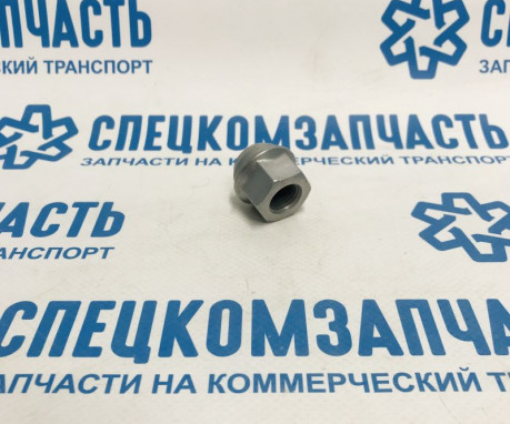 Гайка колесная на Sollers Argo - 3101101W5000
