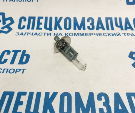 Лампа фары дальнего света и ПТФ (H1 12V 55W) на Фиат Дукато - 31CA11