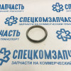 Прокладка глушителя задней части (кольцо) на Фиат Дукато - 332950