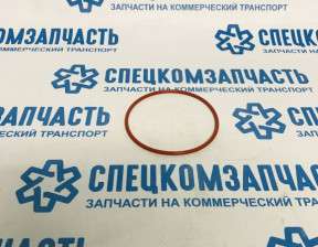 Прокладка (кольцо) насоса вакуумного большая D4DD/D4DB на Hyundai HD - 3862345000
