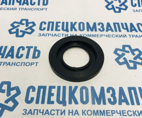Сальник задней ступицы наружнний на Sollers Argo - 4203940070