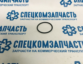 Прокладка ТНВД кольцо на Мерседес Спринтер - 503030