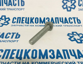 Болт крепления амортизатора переденего к кулаку на Пежо Боксер - 503620
