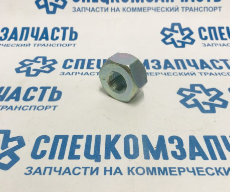 Гайка колеса переднего правого (на 38) HD65 на Hyundai HD - 5198645001
