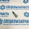 Болт крепления диска тормозного заднего на Форд Транзит - 5253338