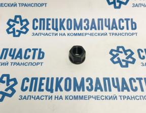 Гайка стремянки рессоры (1.4 TON) на Киа Бонго - 5422962003