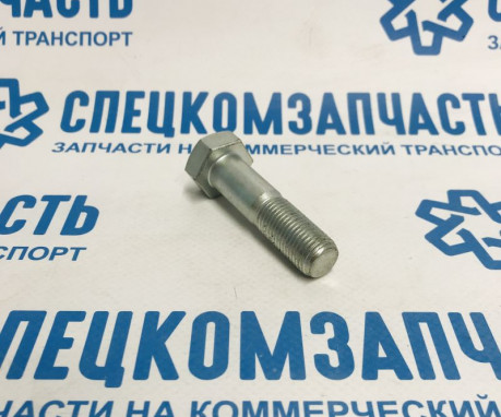 Болт рычага верхнего на Хендай Портер 1 - 5448743000