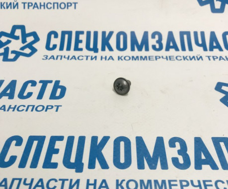 Болт diam 6x100-12 на Пежо Боксер - 6924C3 Болт diam 6x100-12 на Пежо Боксер - 6924C3