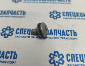 Болт крепления скоб и замков дверей задка на Пежо Боксер - 872570