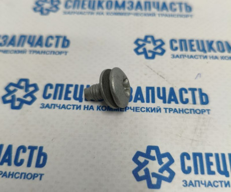 Болт крепления скоб и замков дверей задка на Пежо Боксер - 872570
