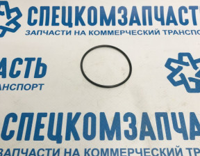 Прокладка ТНВД (КОЛЬЦО) ЕВРО 5 на Пежо Боксер - 9814313680