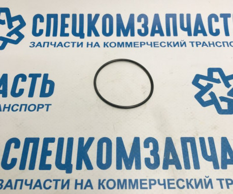 Прокладка ТНВД (КОЛЬЦО) ЕВРО 5 на Пежо Боксер - 9814313680