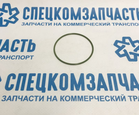 Кольцо уплотнительное насоса вакуумного большое на Мерседес Спринтер - A6119970745