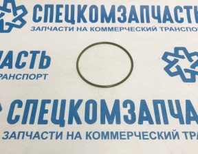 Кольцо уплотнительное насоса вакуумного большое на Мерседес Спринтер - A6119970745