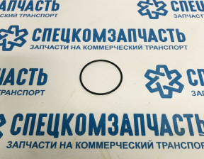 Кольцо уплотнительное ТНВД на Форд Транзит - AL400471
